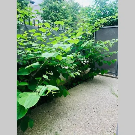Standing / 2 Chambres / Terrasse 스탱